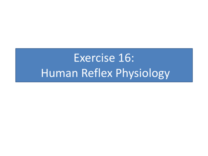 Human reflex physiology exercise 21