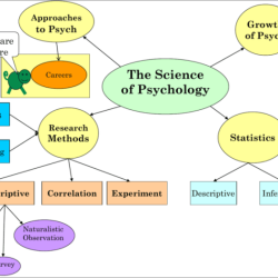 Practice with subfields of psychology worksheet answers