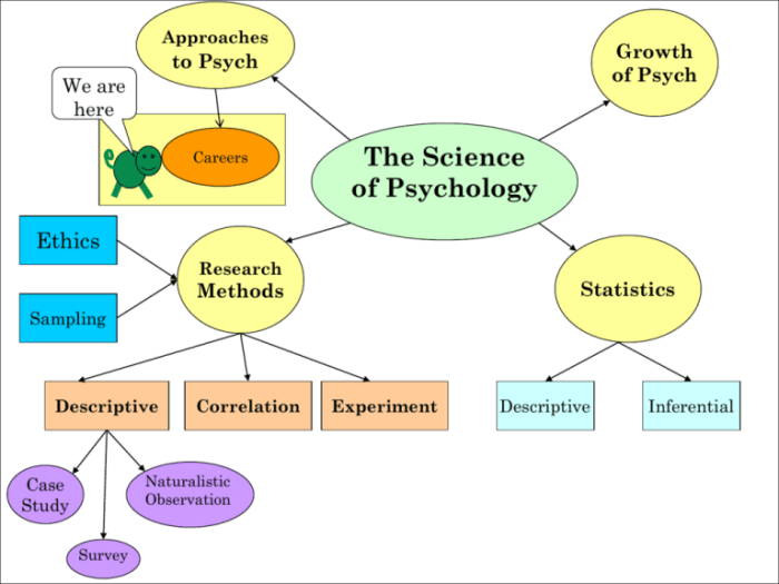 Practice with subfields of psychology worksheet answers