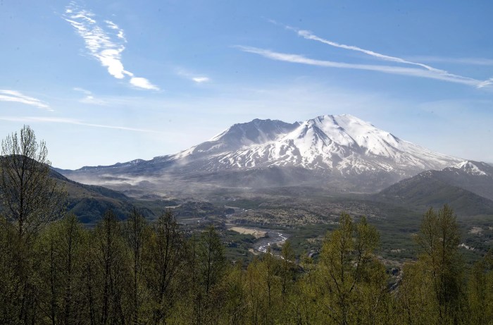 Mount st helens a story of succession questions