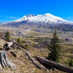 Helens st mount johnston ridge mt eruption saint nasa now volcanic years 1984 after observatory volcano larger north recovery seen